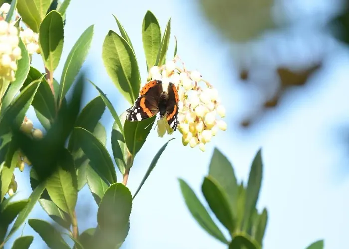 La Maison Du Coeur Holiday home Bari